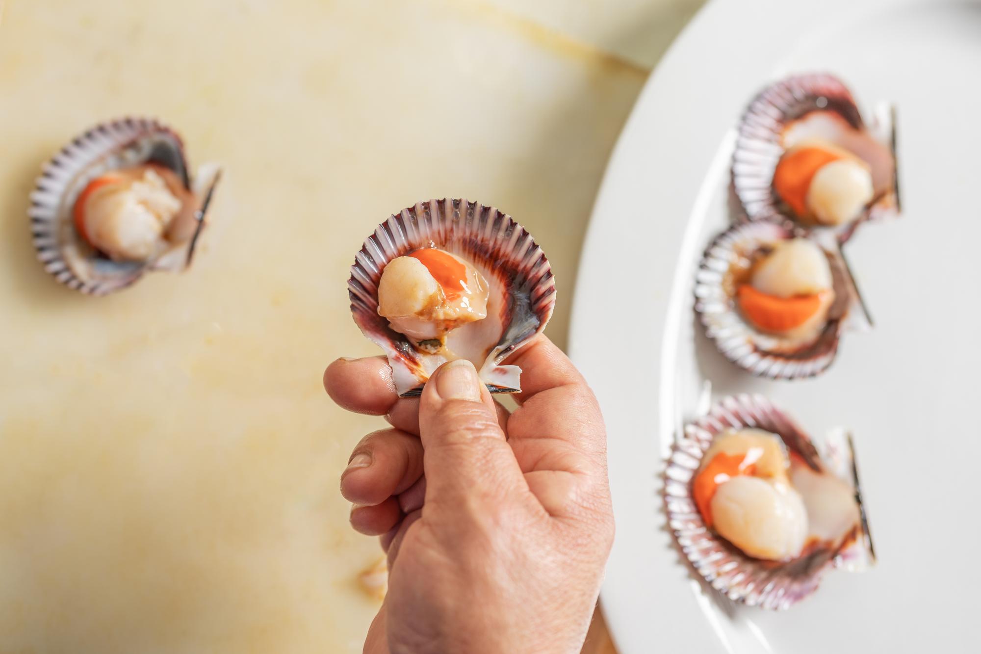 Close-up of hand searing scallops